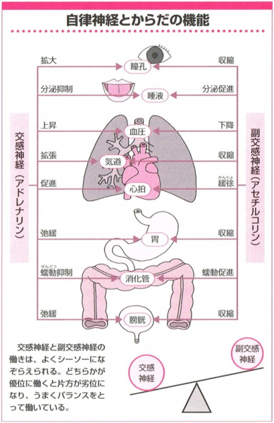 ロング ブレス 血圧